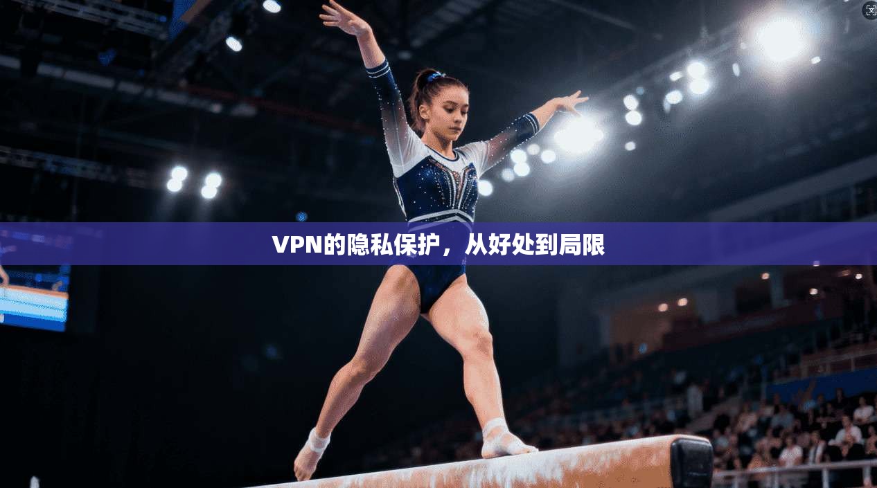 VPN的隐私保护，从好处到局限  第1张