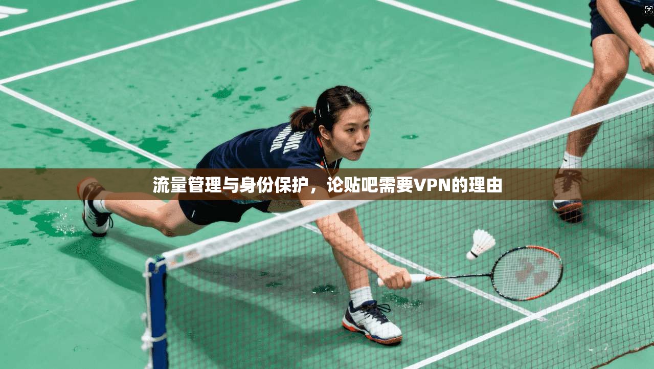 流量管理与身份保护，论贴吧需要VPN的理由