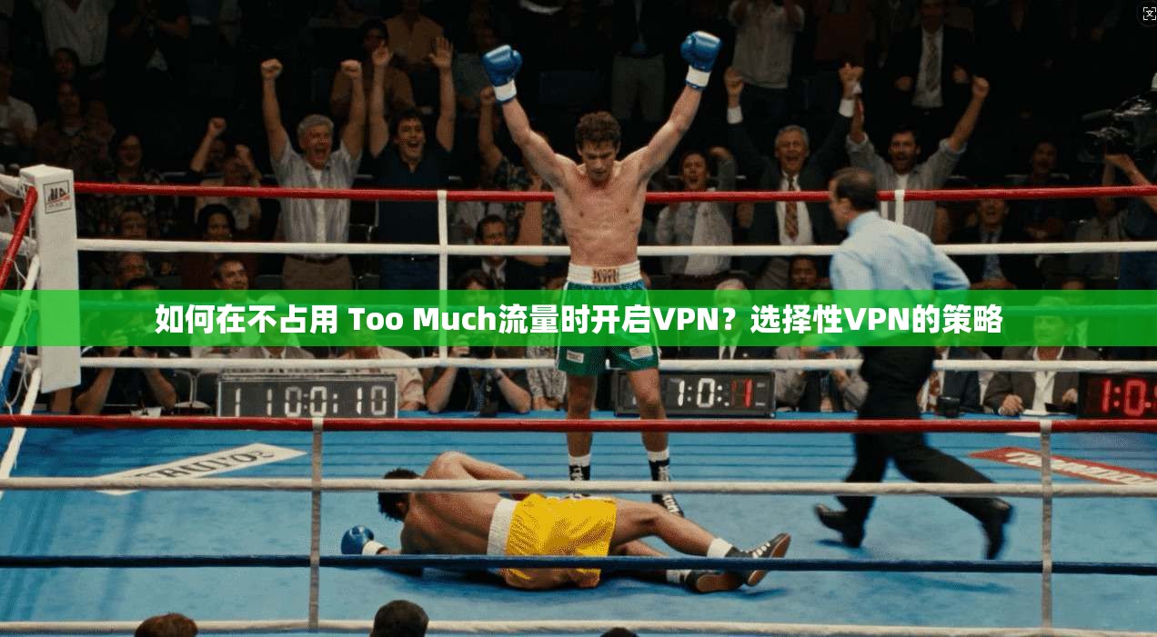 如何在不占用 Too Much流量时开启VPN？选择性VPN的策略