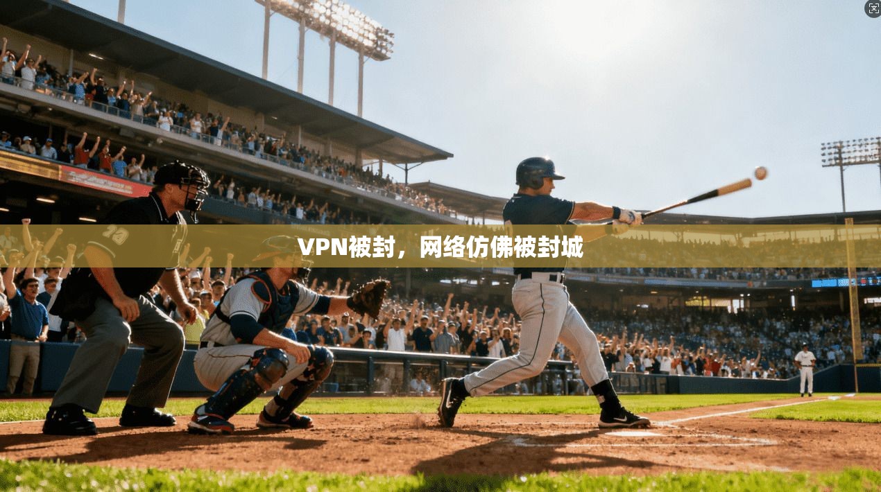 VPN被封，网络仿佛被封城