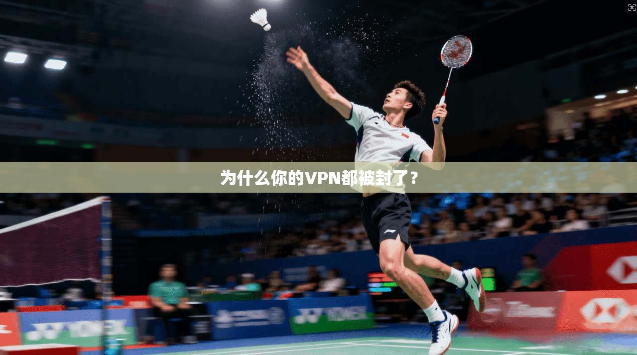 为什么你的VPN都被封了？