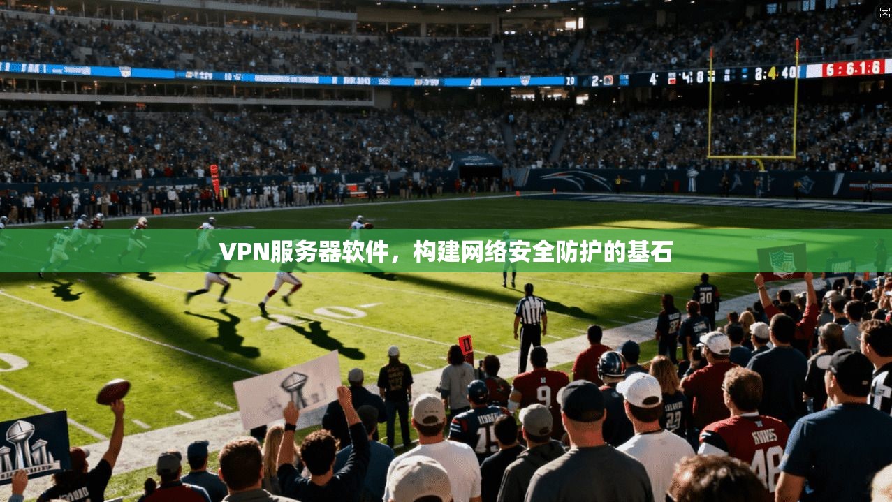 VPN服务器软件，构建网络安全防护的基石