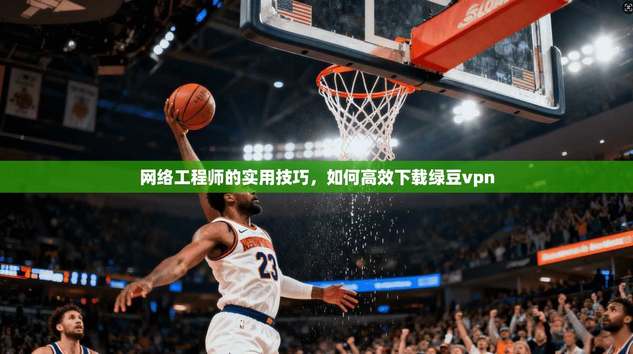 网络工程师的实用技巧，如何高效下载绿豆vpn