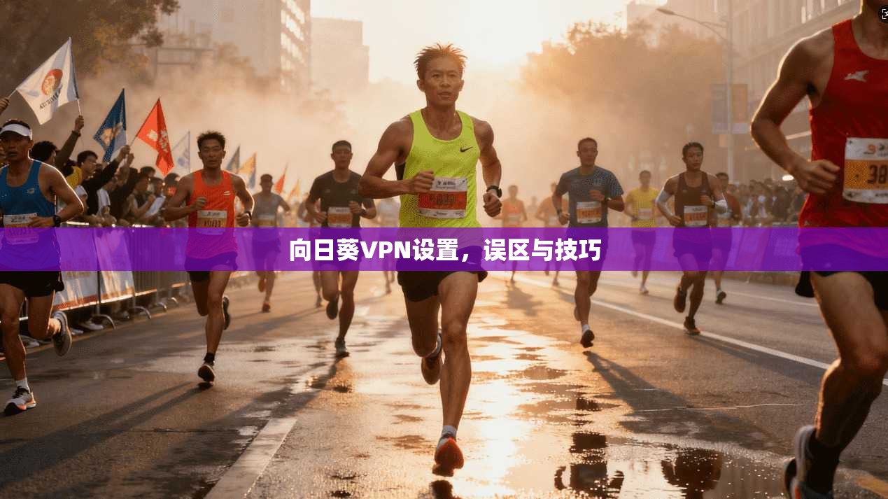 向日葵VPN设置，误区与技巧  第1张