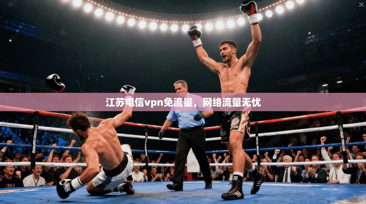 江苏电信vpn免流量，网络流量无忧