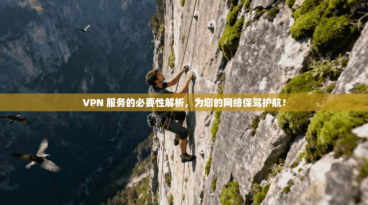 VPN 服务的必要性解析，为您的网络保驾护航！