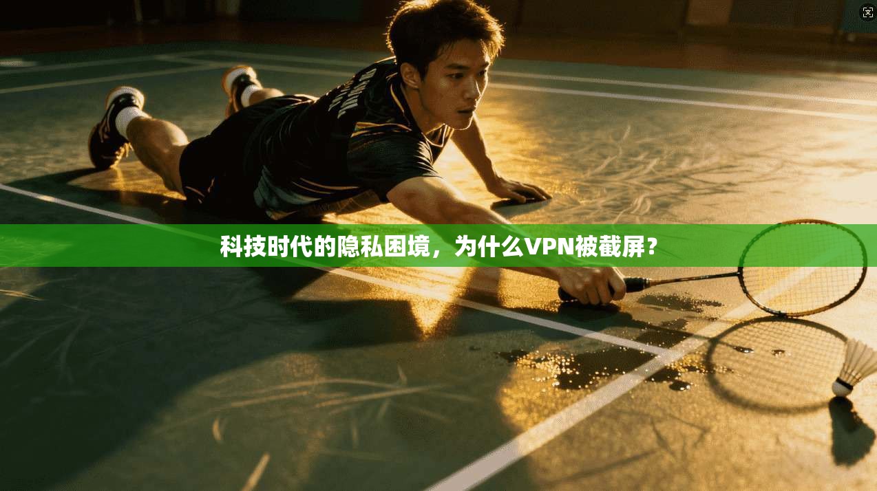 科技时代的隐私困境，为什么VPN被截屏？