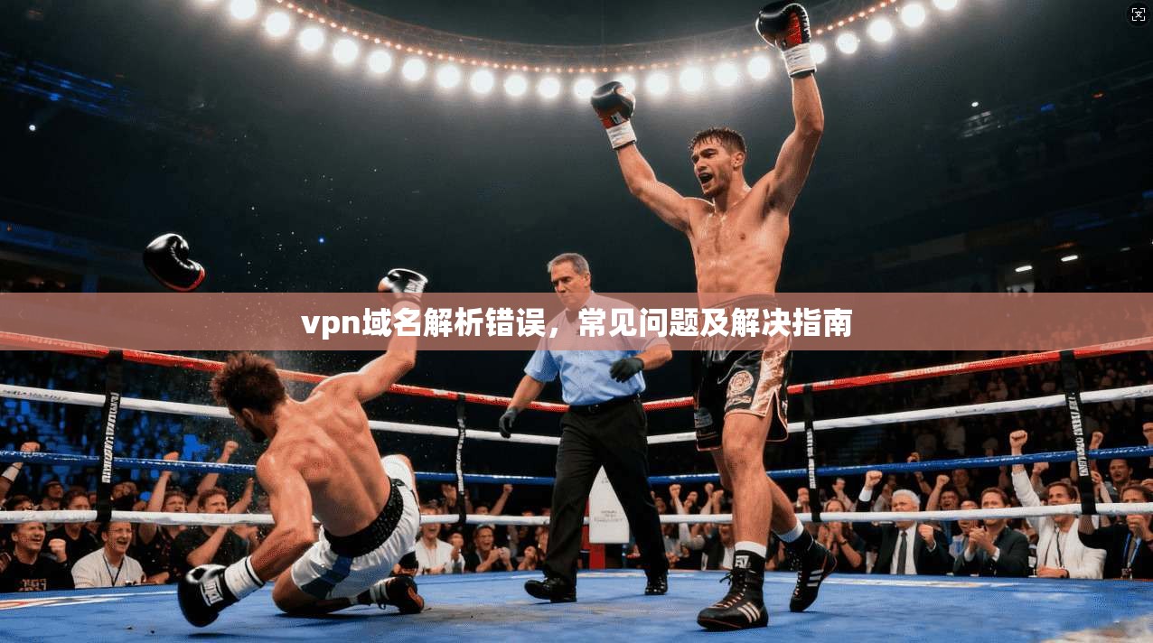 vpn域名解析错误，常见问题及解决指南