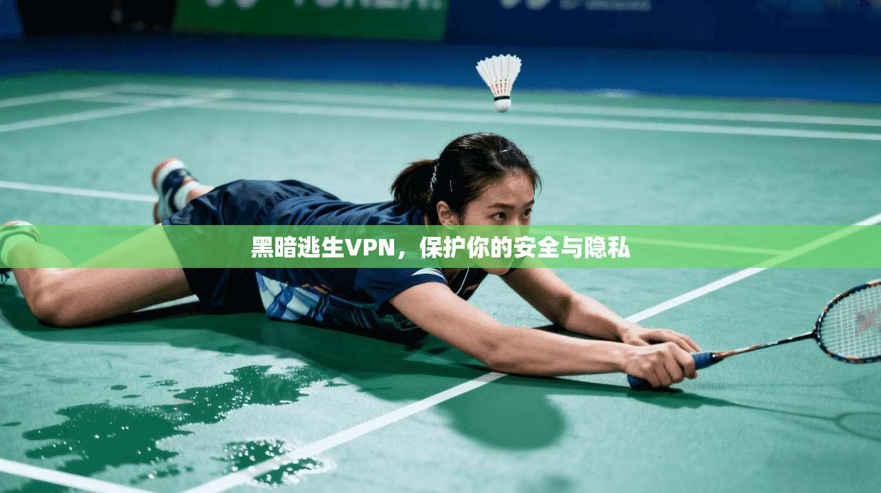 黑暗逃生VPN，保护你的安全与隐私