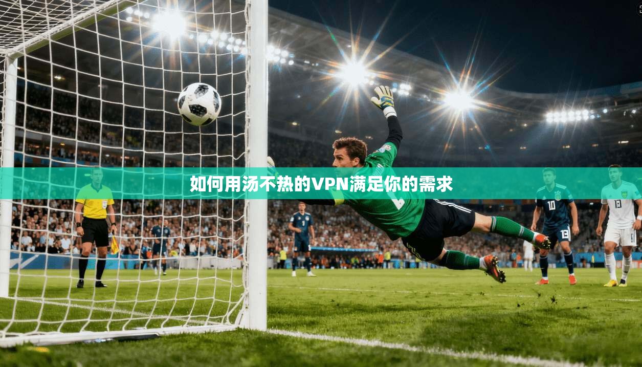 如何用汤不热的VPN满足你的需求