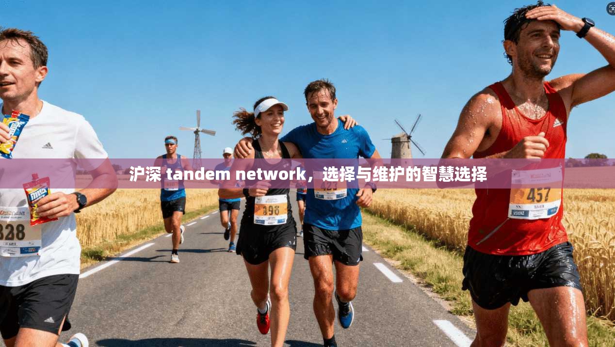 沪深 tandem network，选择与维护的智慧选择