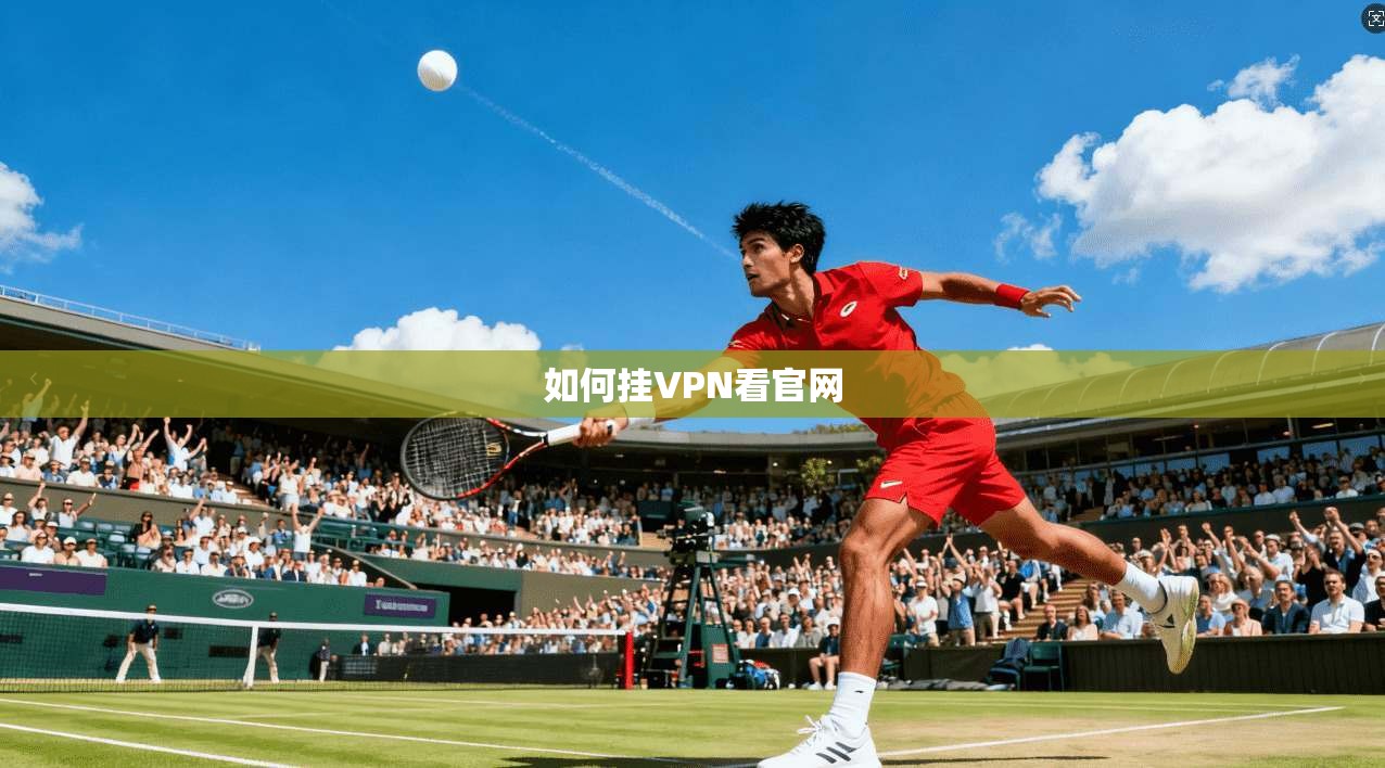 如何挂VPN看官网