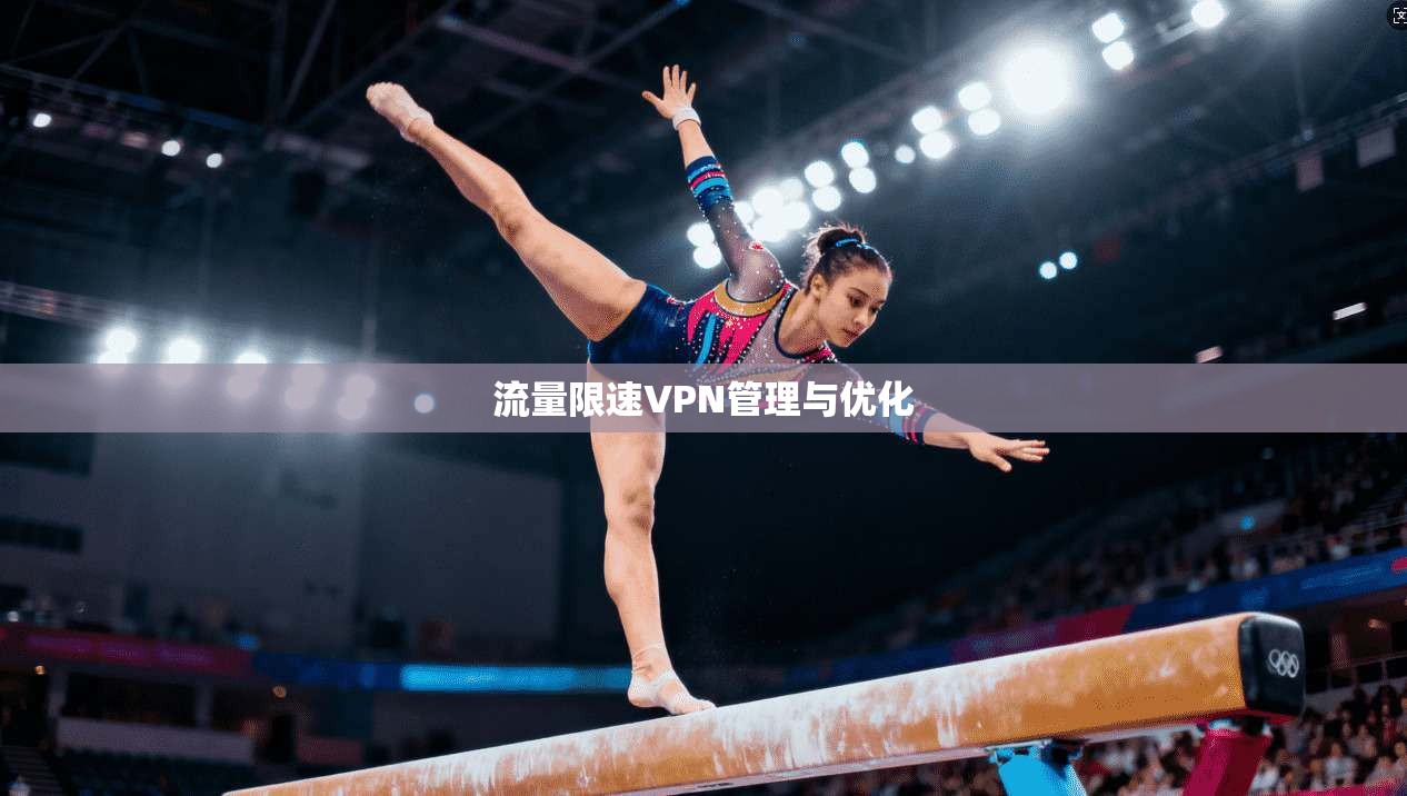 流量限速VPN管理与优化