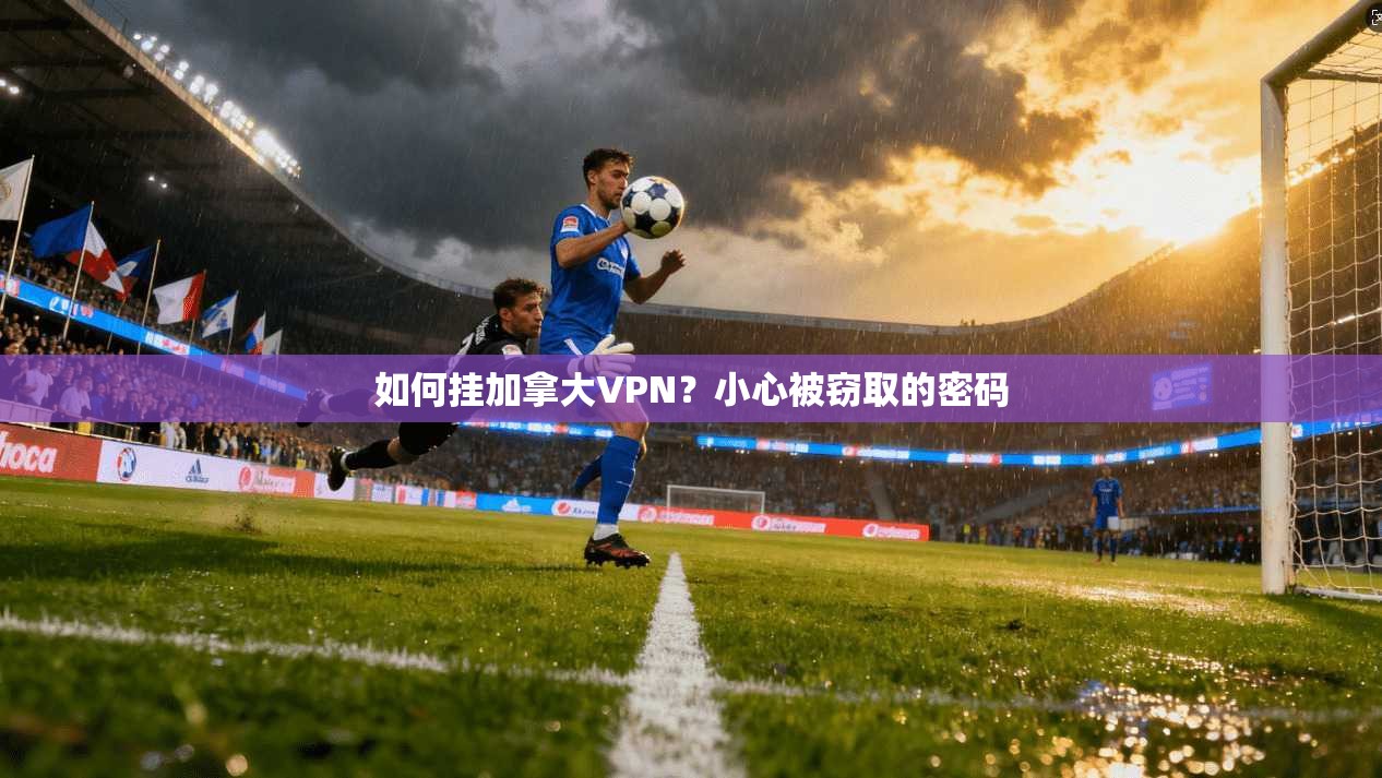 如何挂加拿大VPN？小心被窃取的密码