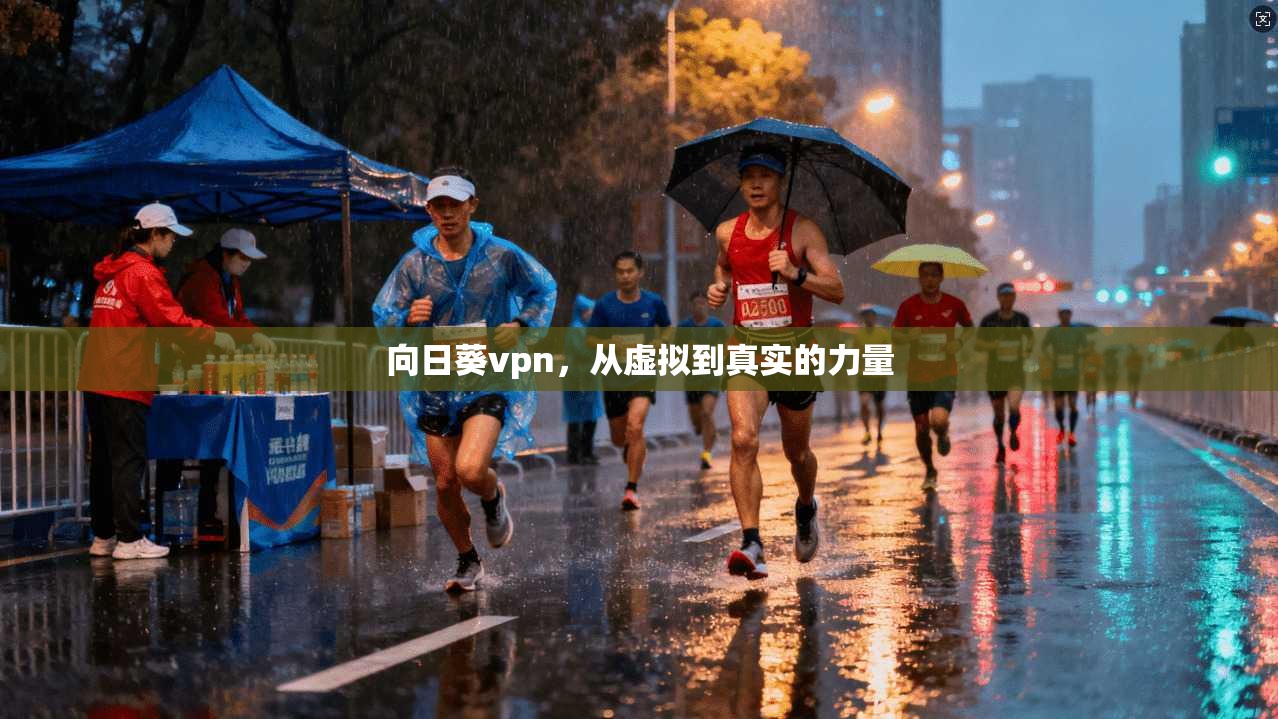 向日葵vpn，从虚拟到真实的力量