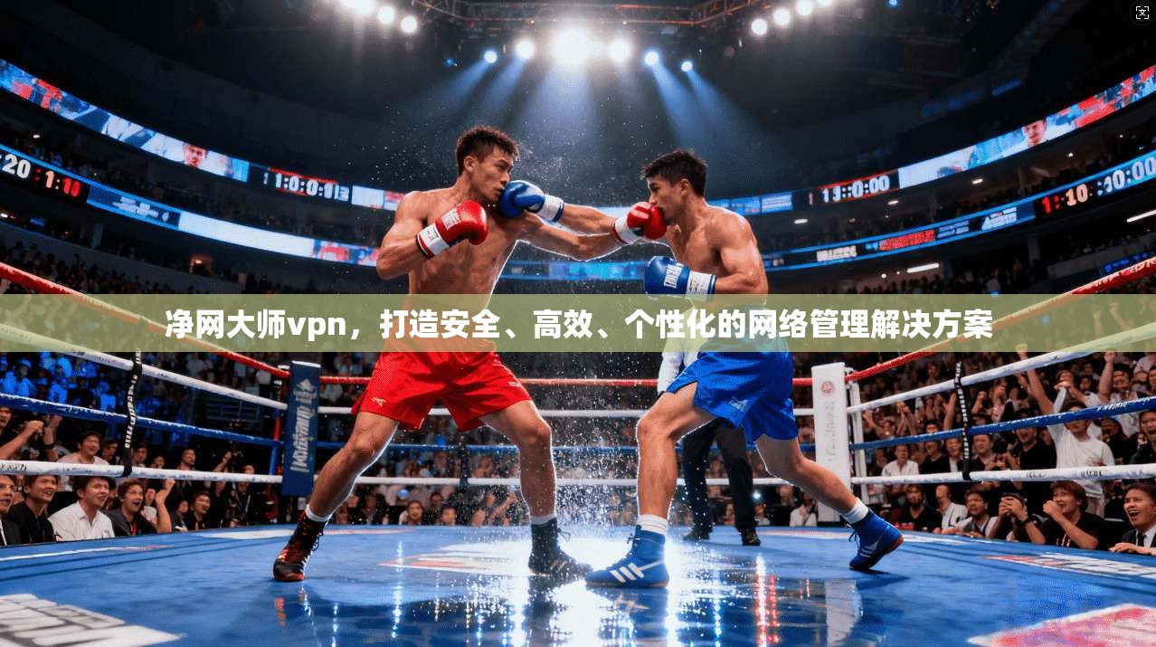 净网大师vpn，打造安全、高效、个性化的网络管理解决方案