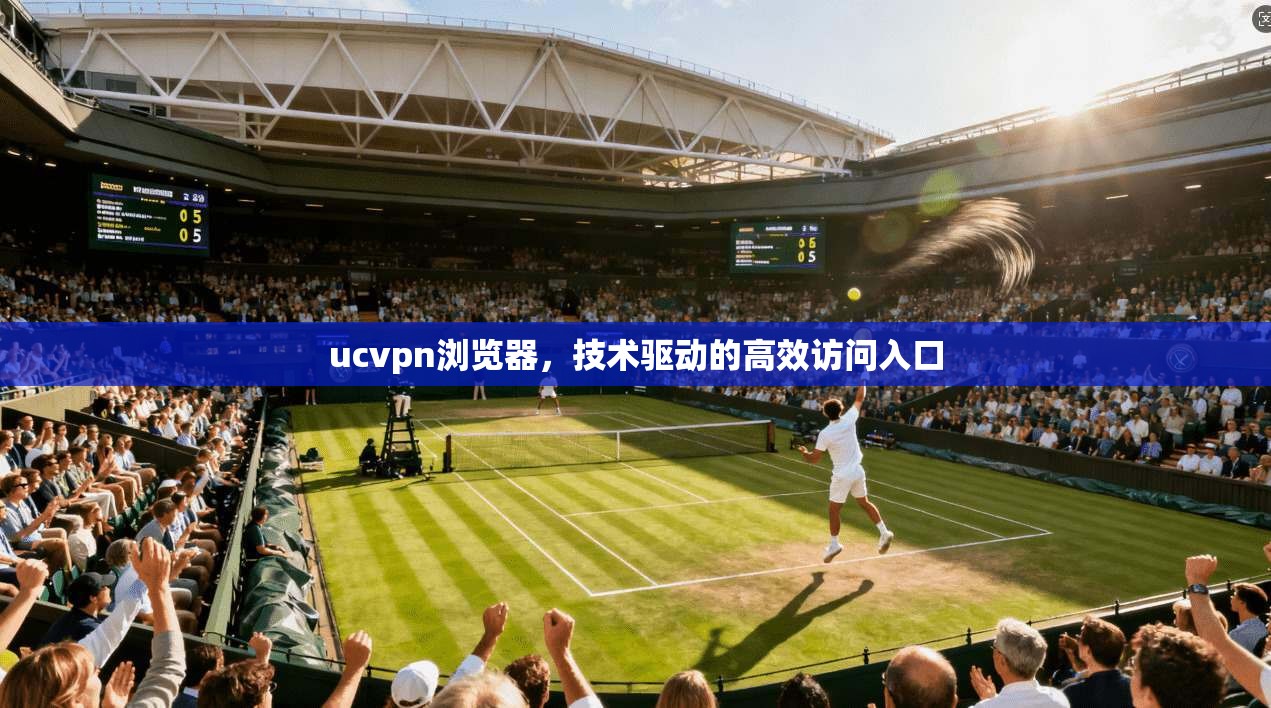 ucvpn浏览器，技术驱动的高效访问入口