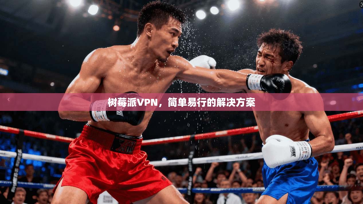 树莓派VPN，简单易行的解决方案