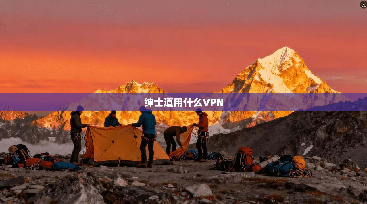 绅士道用什么VPN