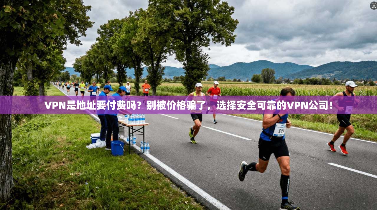 VPN是地址要付费吗？别被价格骗了，选择安全可靠的VPN公司！