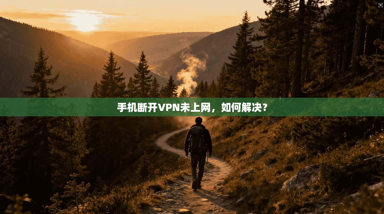 手机断开VPN未上网，如何解决？