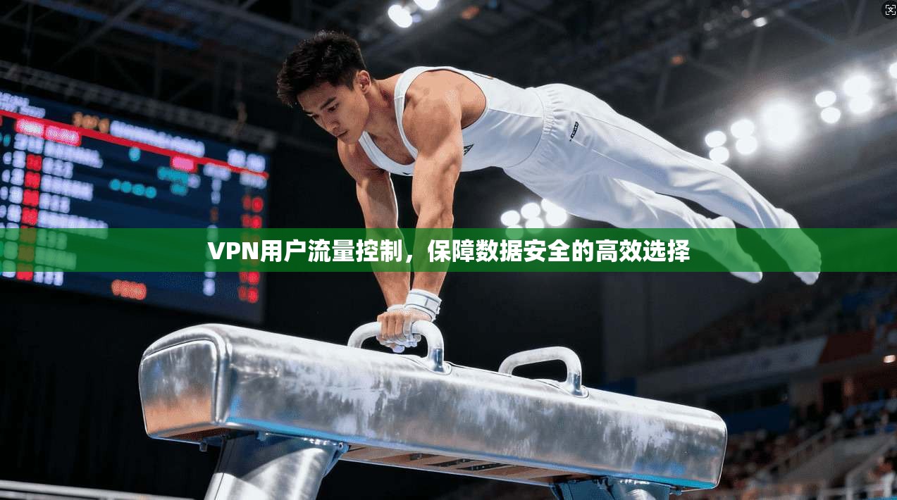 VPN用户流量控制，保障数据安全的高效选择