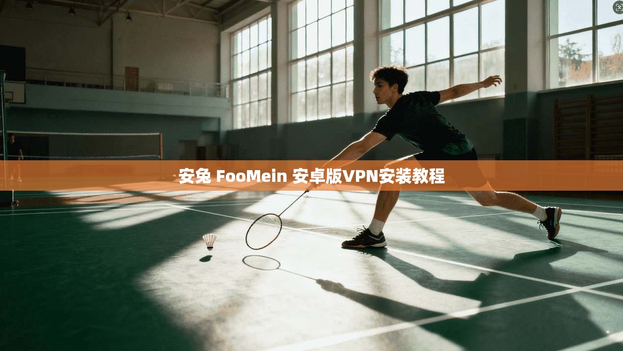 安兔 FooMein 安卓版VPN安装教程