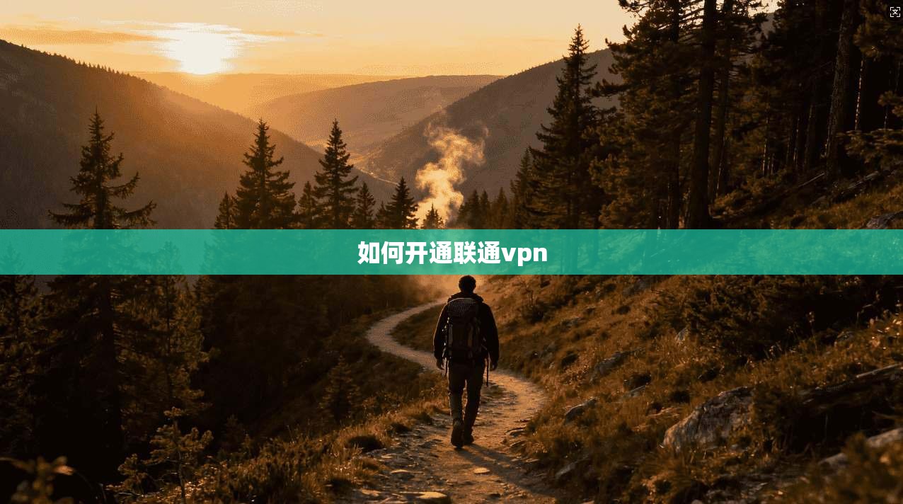 如何开通联通vpn