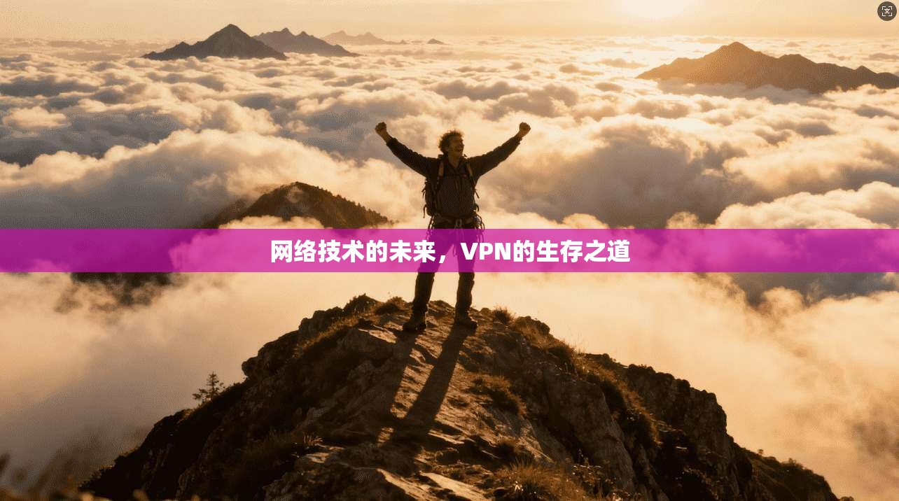 网络技术的未来，VPN的生存之道