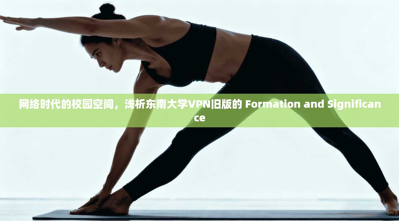 网络时代的校园空间，浅析东南大学VPN旧版的 Formation and Significance