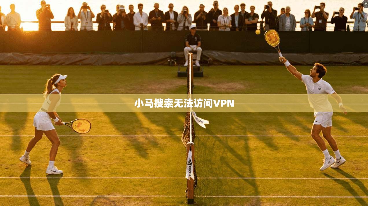小马搜索无法访问VPN