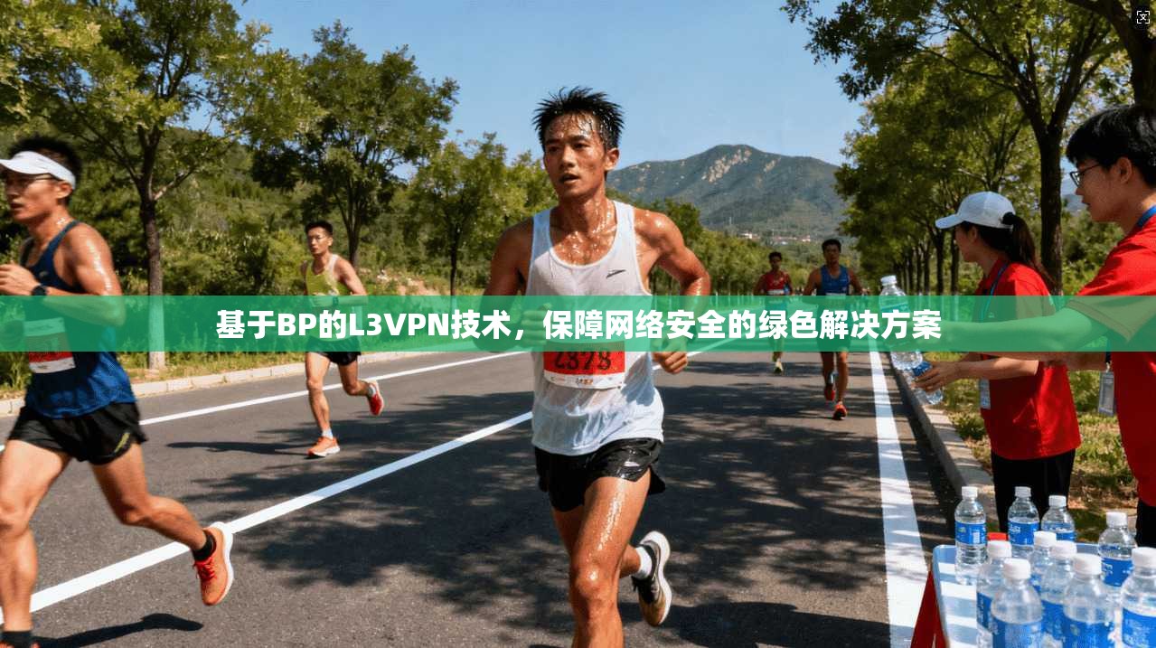 基于BP的L3VPN技术，保障网络安全的绿色解决方案