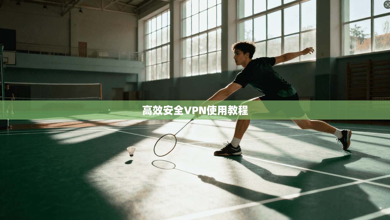 高效安全VPN使用教程