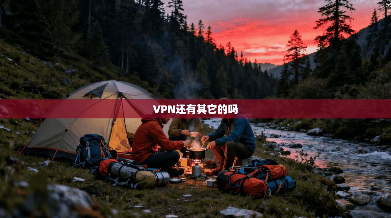 VPN还有其它的吗