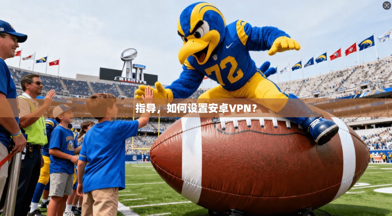 指导，如何设置安卓VPN？