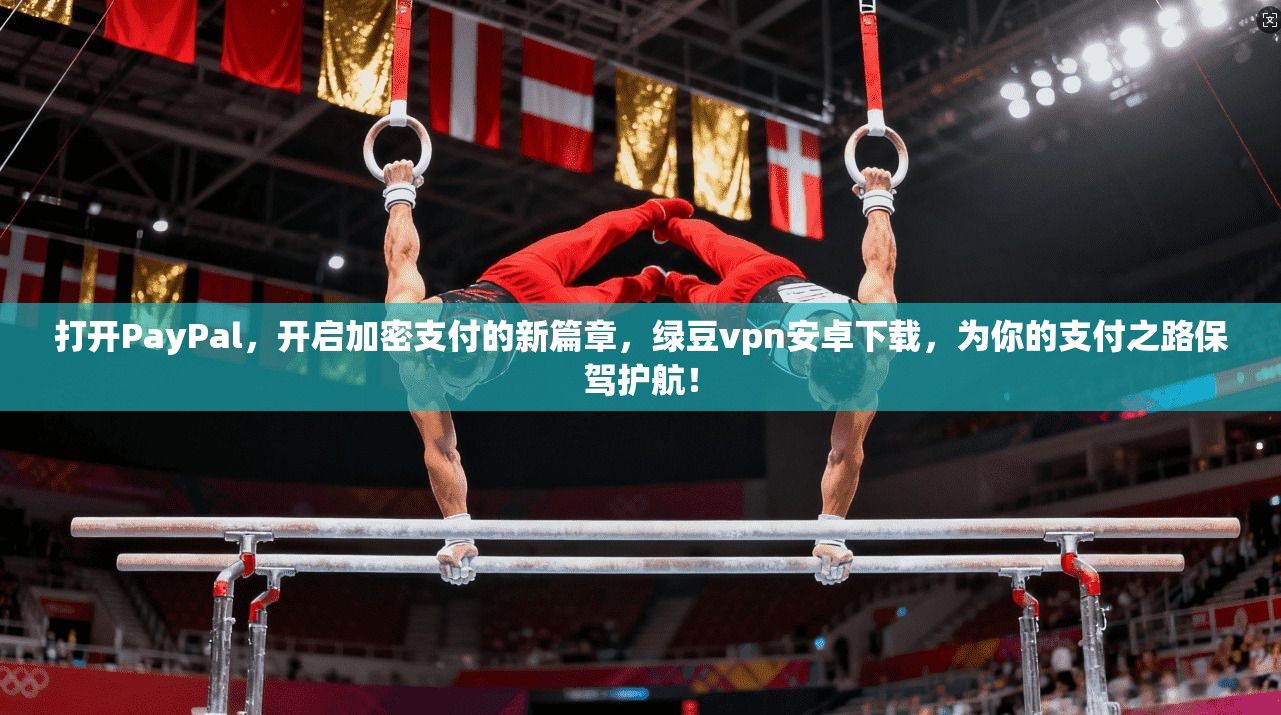 打开PayPal，开启加密支付的新篇章，绿豆vpn安卓下载，为你的支付之路保驾护航！