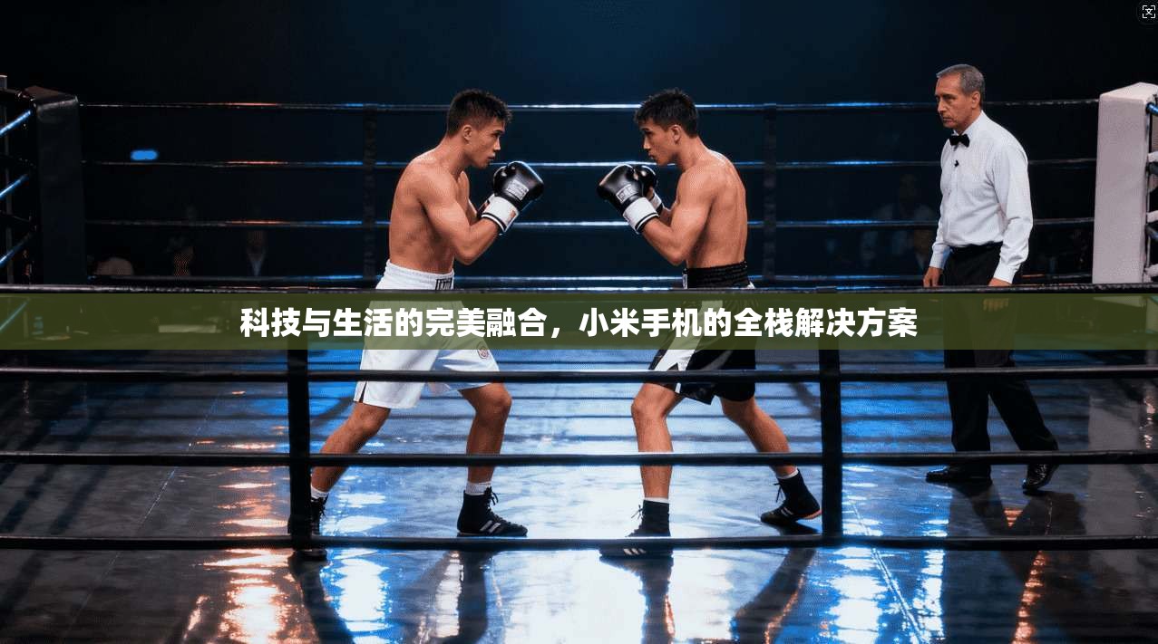 科技与生活的完美融合，小米手机的全栈解决方案