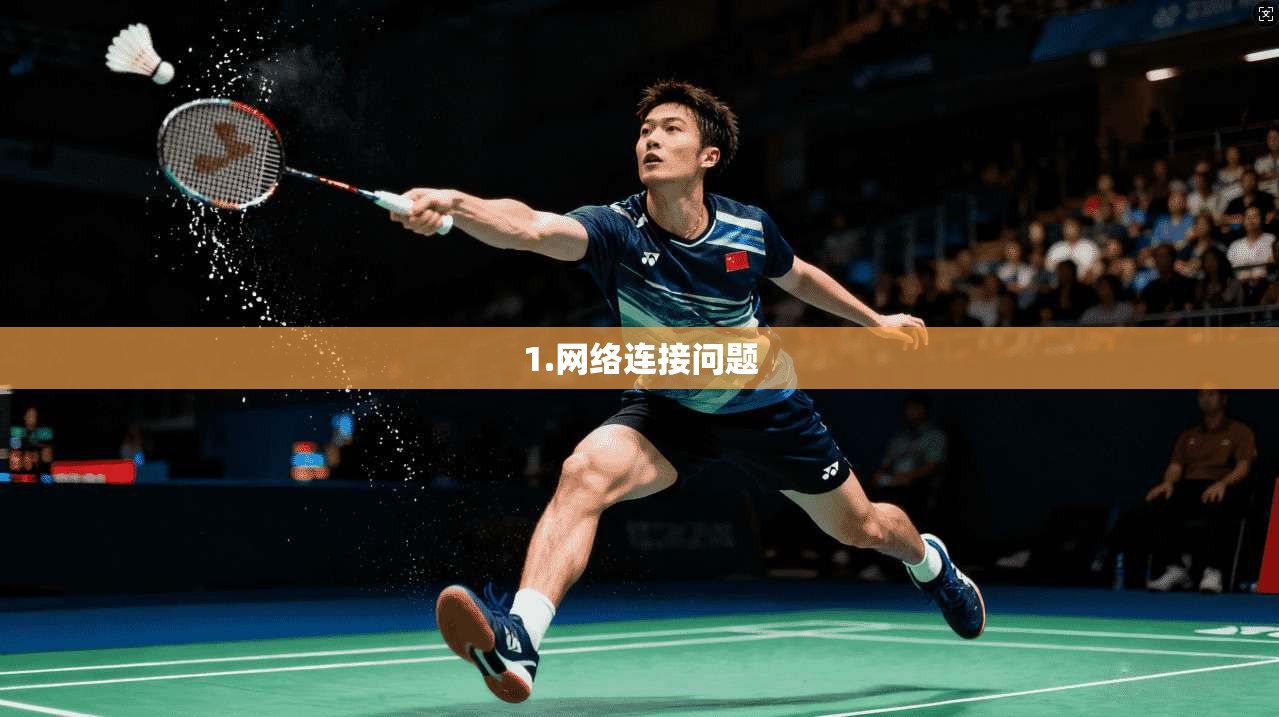 1.网络连接问题