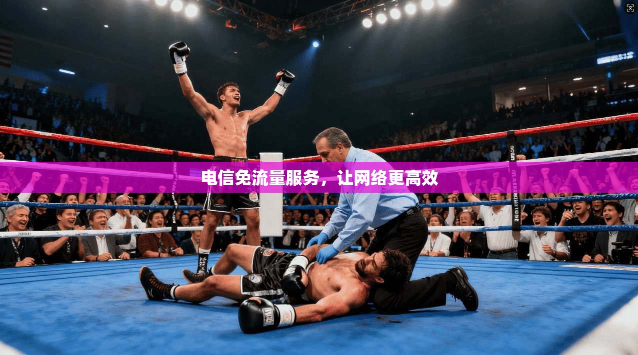 电信免流量服务，让网络更高效