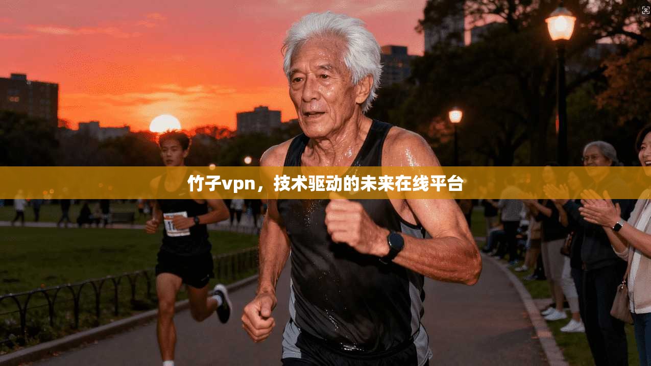 竹子vpn，技术驱动的未来在线平台