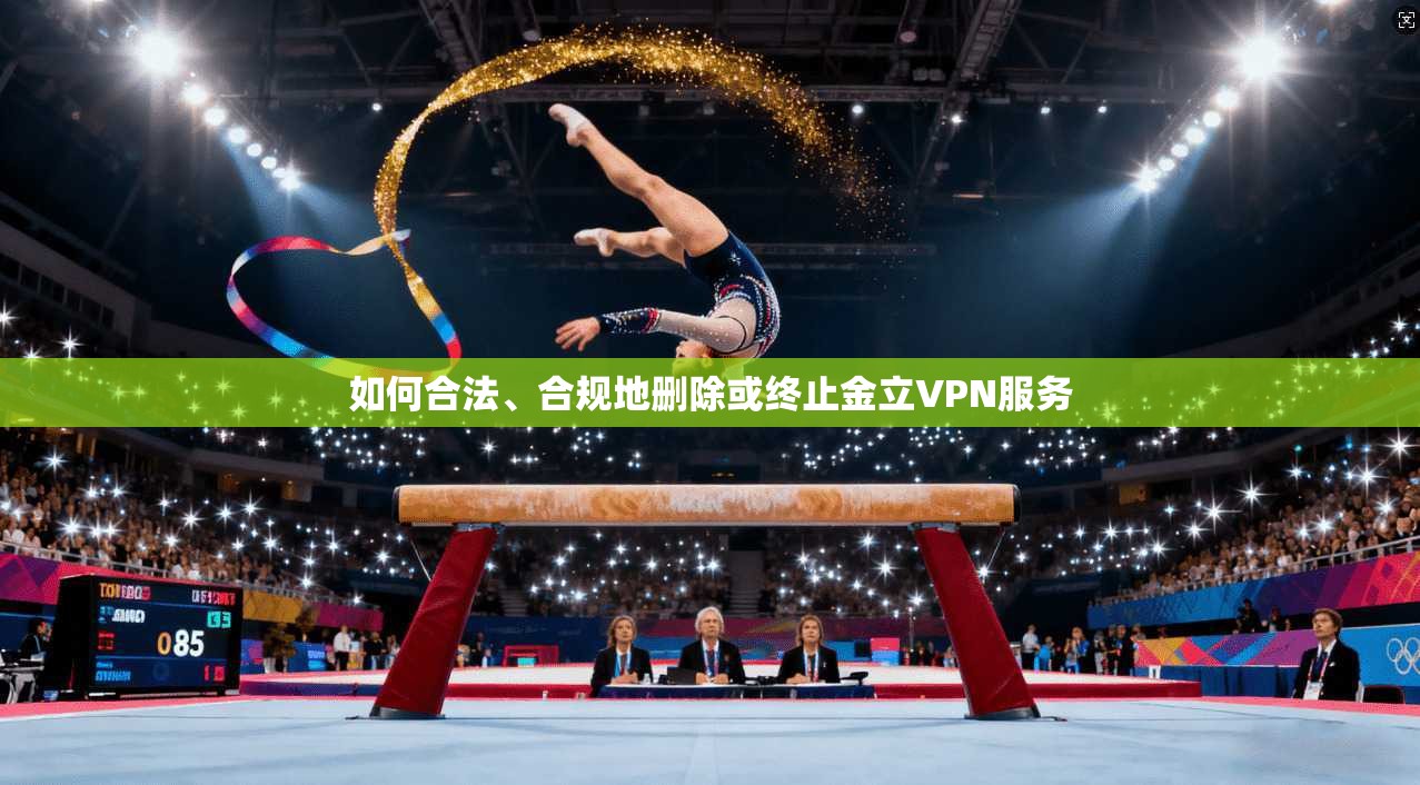 如何合法、合规地删除或终止金立VPN服务