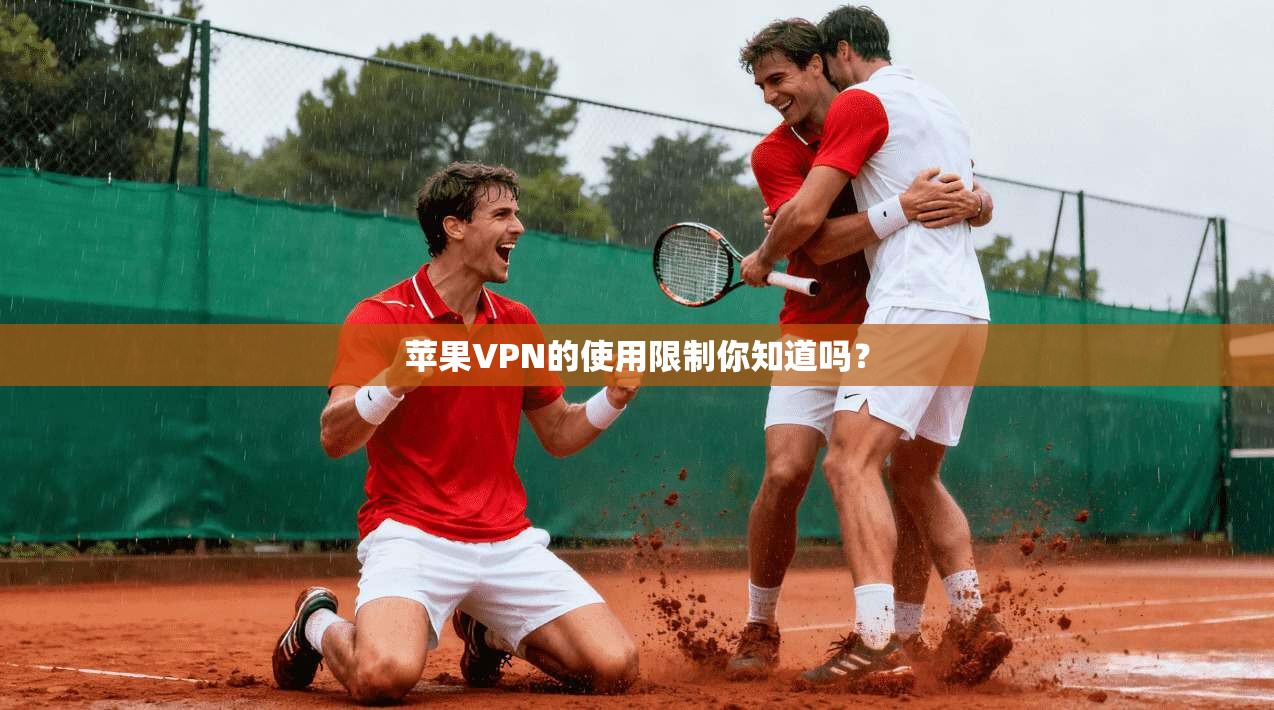 苹果VPN的使用限制你知道吗？