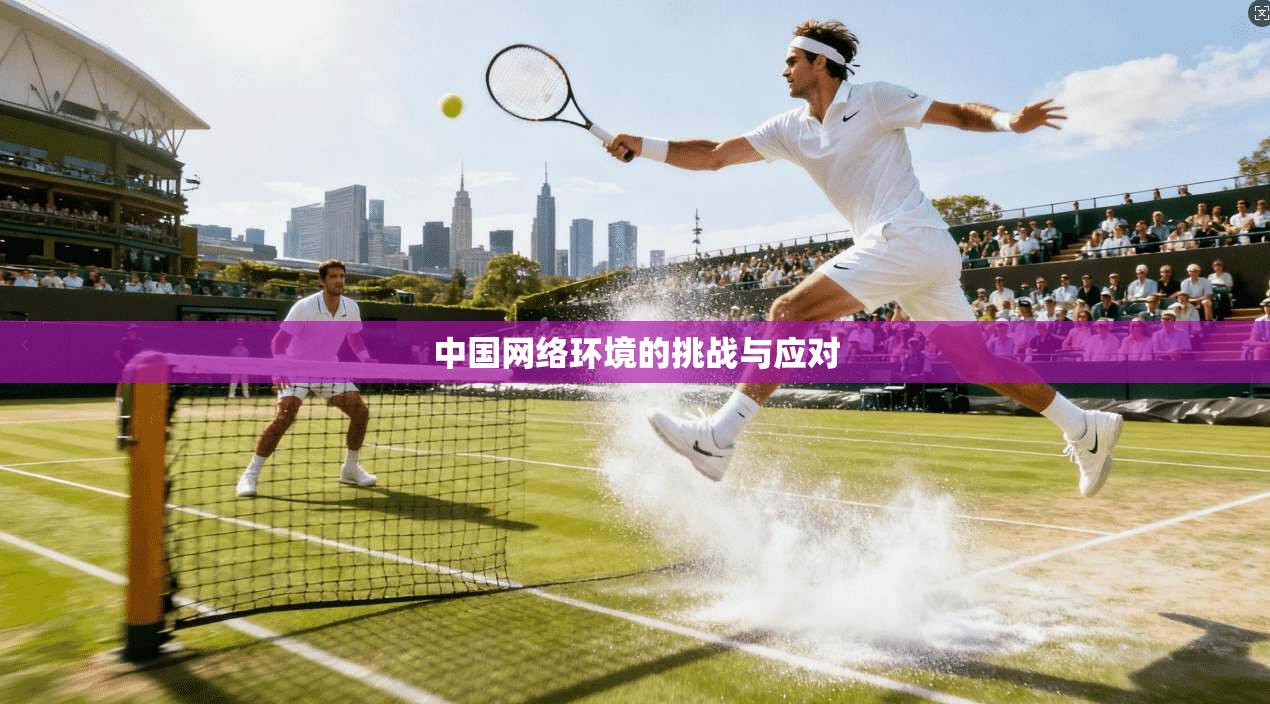 中国网络环境的挑战与应对