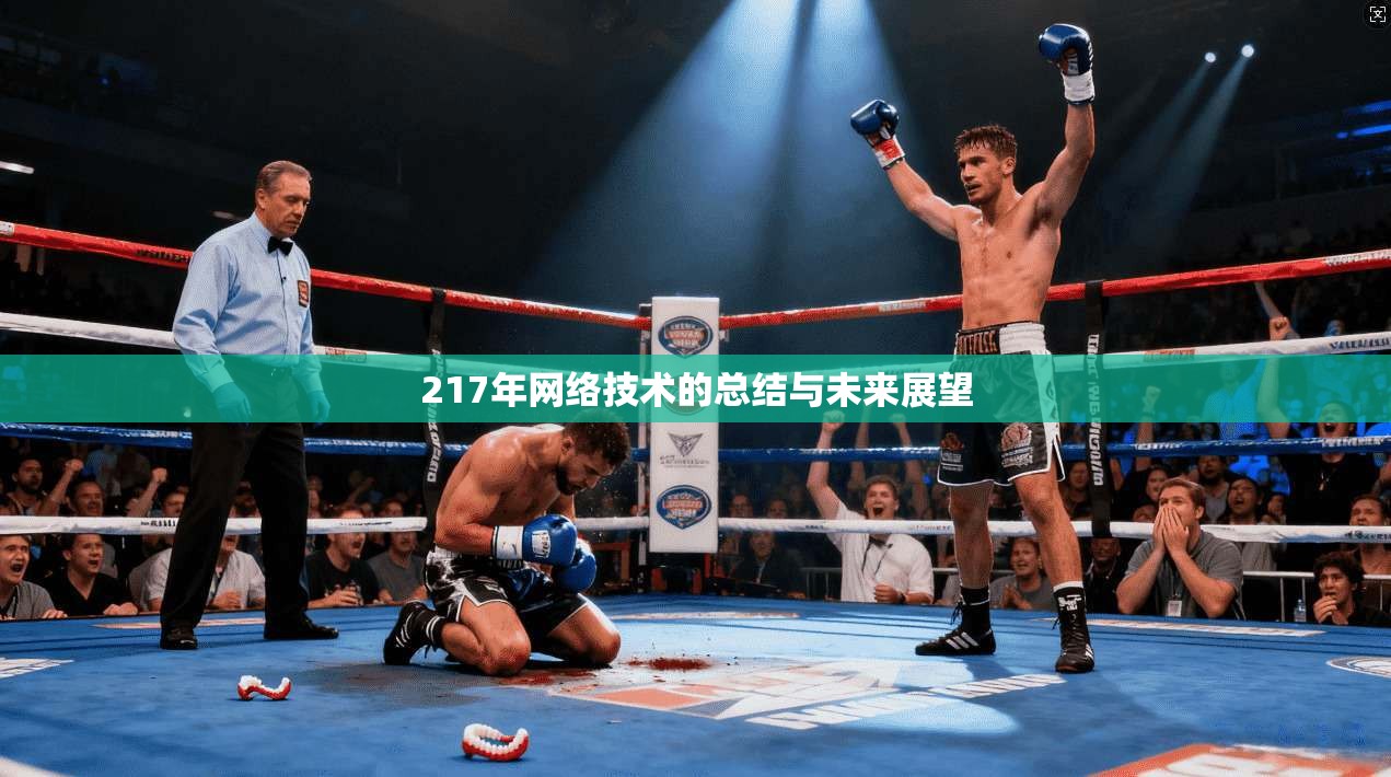 217年网络技术的总结与未来展望