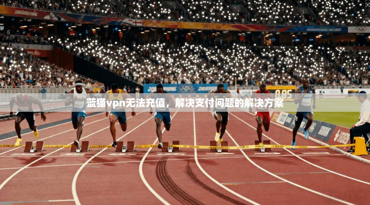 蓝猫vpn无法充值，解决支付问题的解决方案