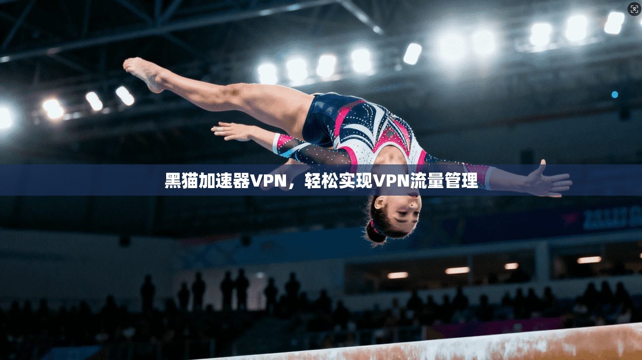 黑猫加速器VPN，轻松实现VPN流量管理