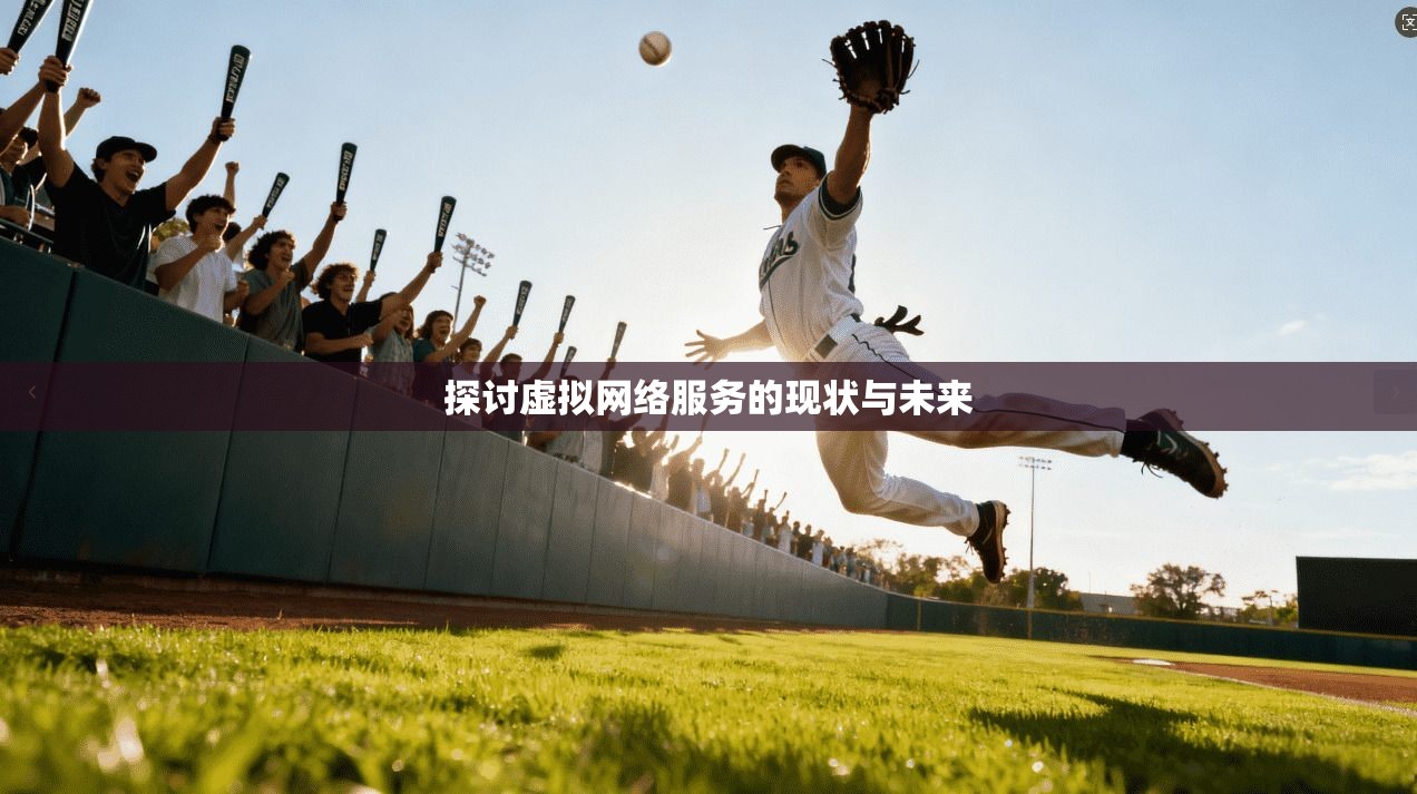 探讨虚拟网络服务的现状与未来