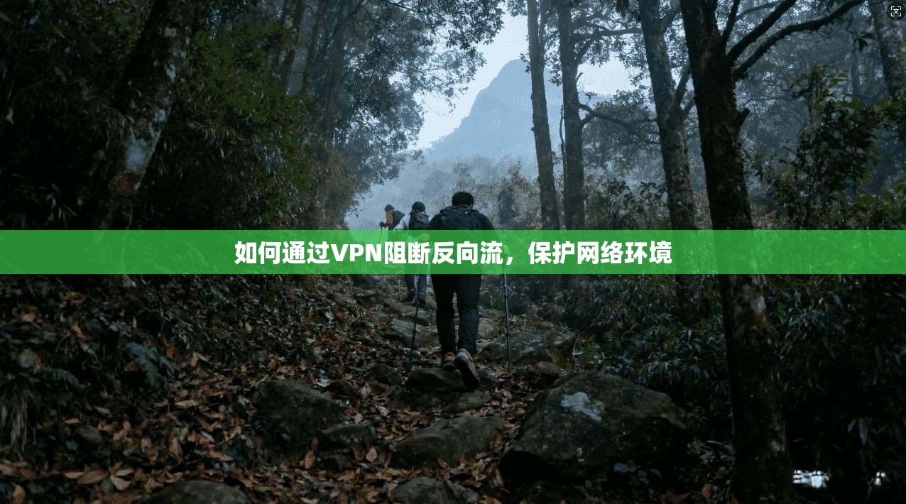 如何通过VPN阻断反向流，保护网络环境