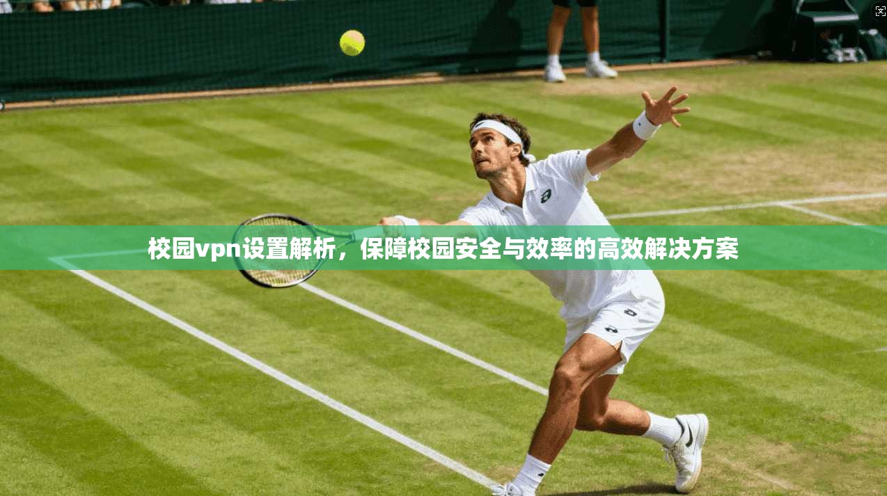 校园vpn设置解析，保障校园安全与效率的高效解决方案