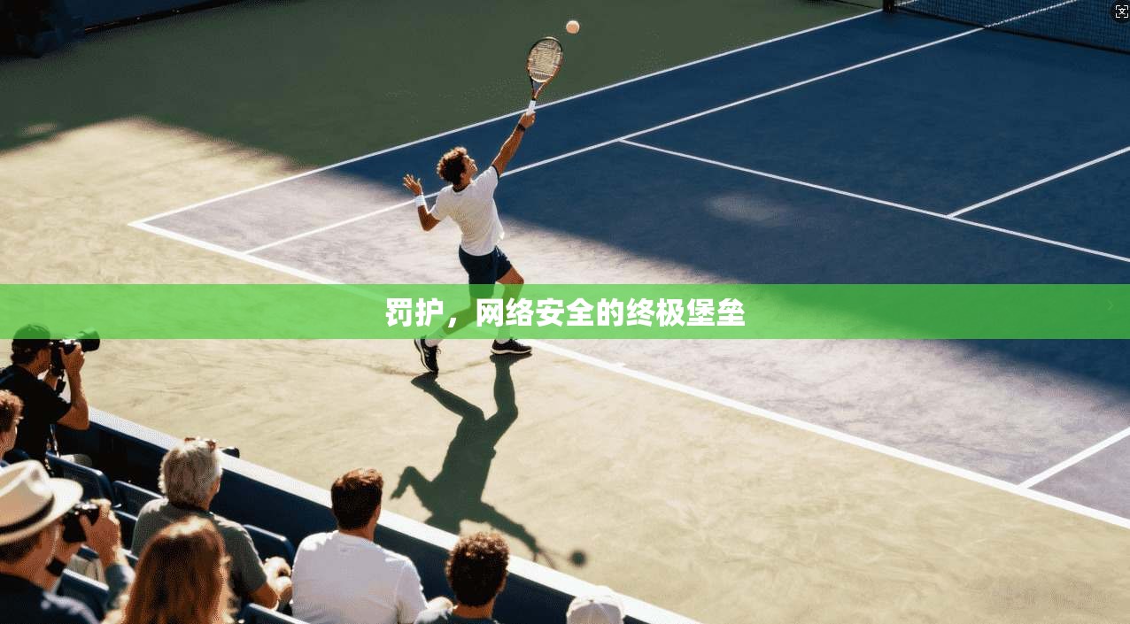 罚护，网络安全的终极堡垒